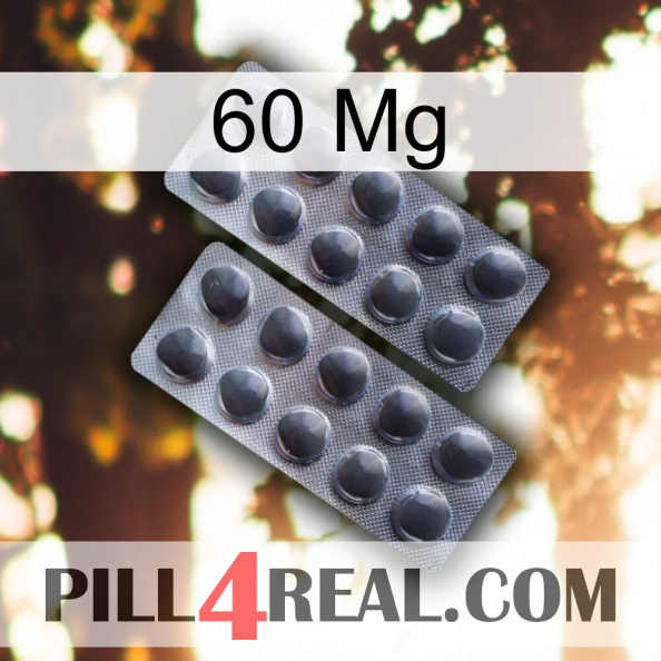 60Mg 31